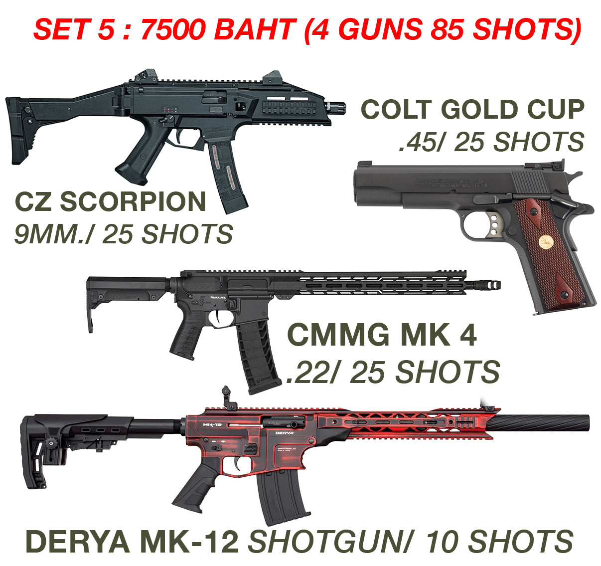 SET 05 (4 Guns 85 Shots)