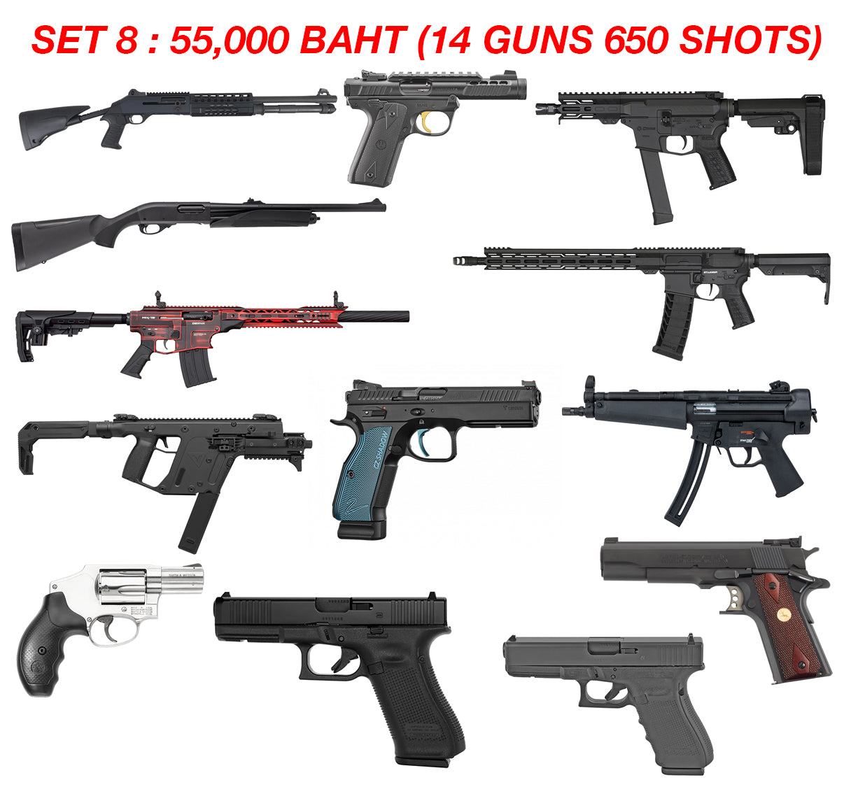 SET 8 (13 GUNS 650 SHOTS)